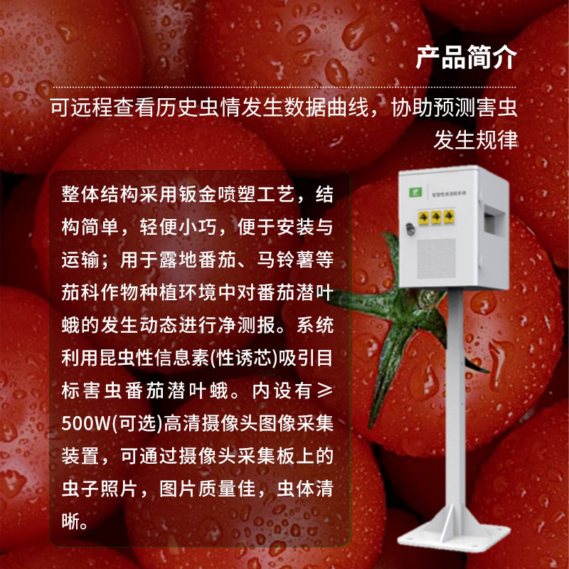 番茄潛葉蛾智慧性誘測報系統(tǒng)